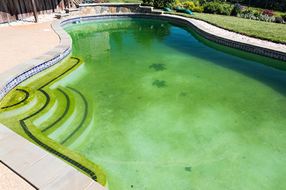 green-pool-cleanup